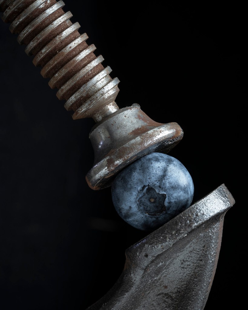 a single blueberry held in a rusty C-clamp